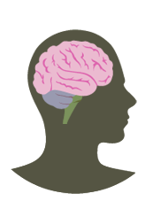 Senses Effecting the Brain | H&H Graphics
