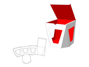 The Folding Carton