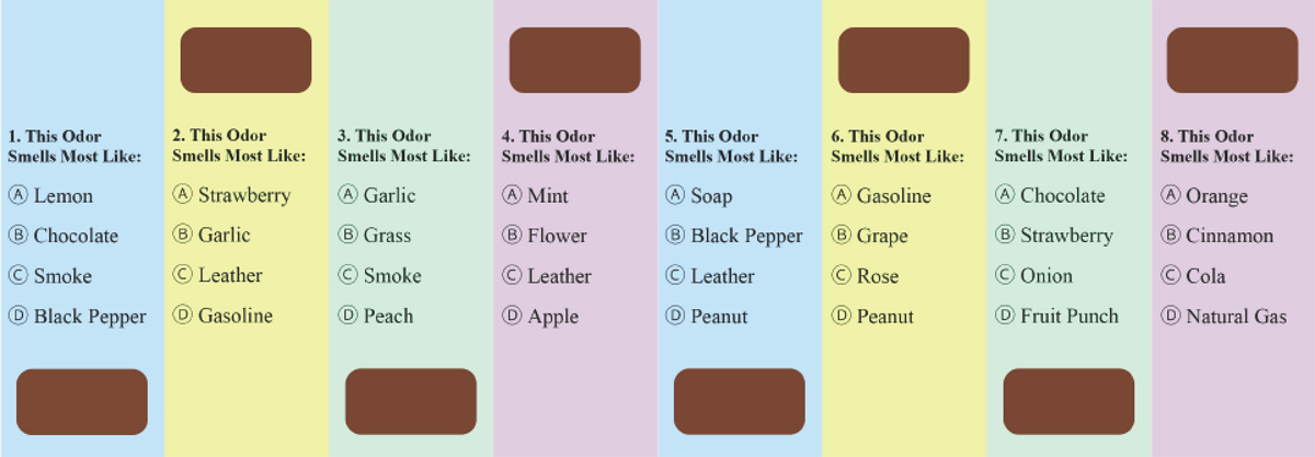 Smell Tests to Screen for COVID-19 - Example