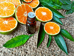 sliced oranges and an essential oil bottle on a jute rug